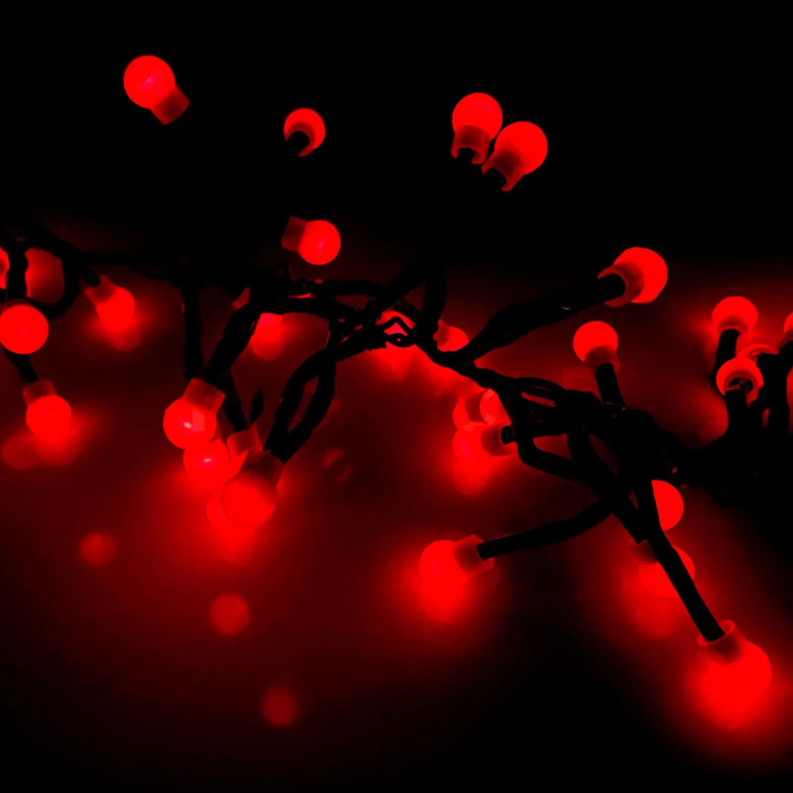 200 Berry Christmas LED Lights Red