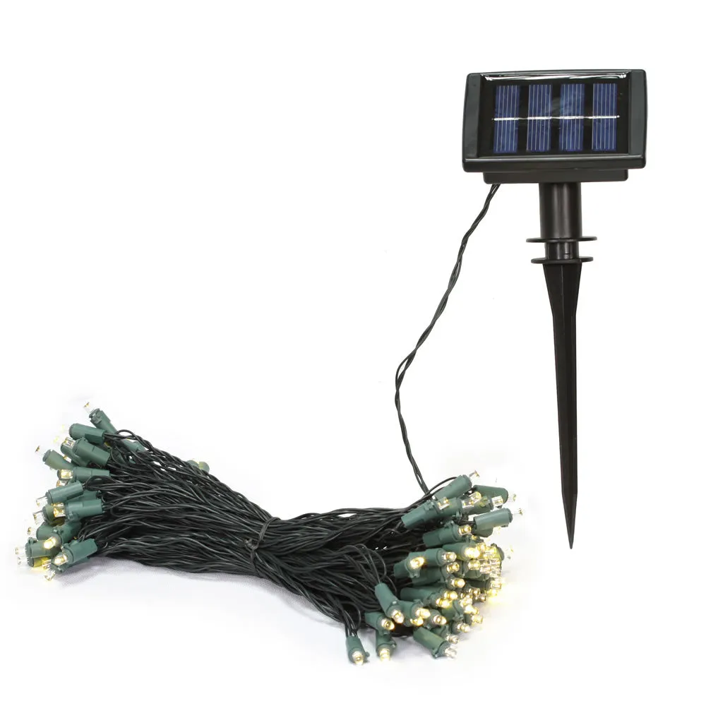 50Lt Warm White LED Solar Set 6Hr Timer 3"Sp