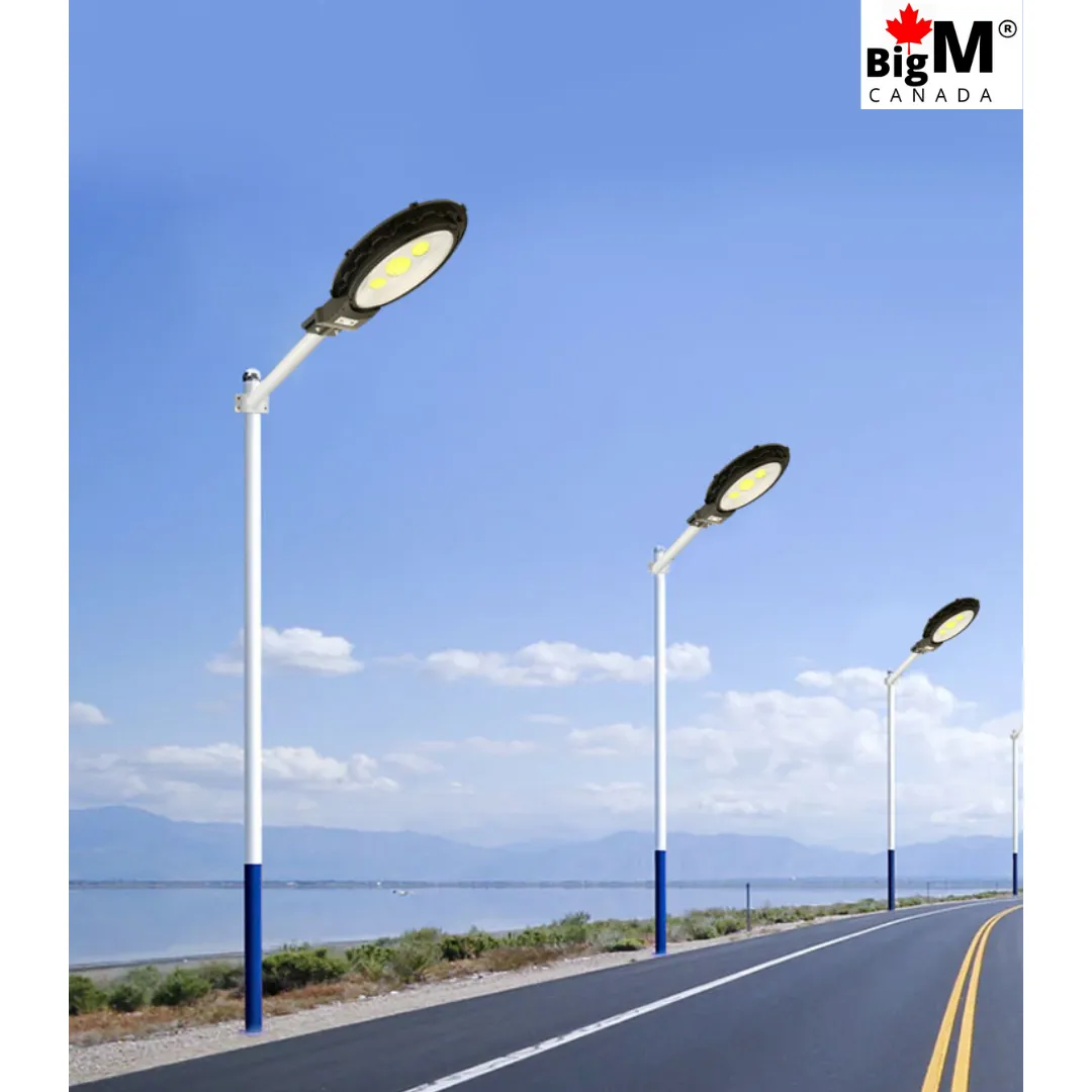 BigM Heavy Duty 500W Solar Flood Light With Motion Sensor for Outdoors