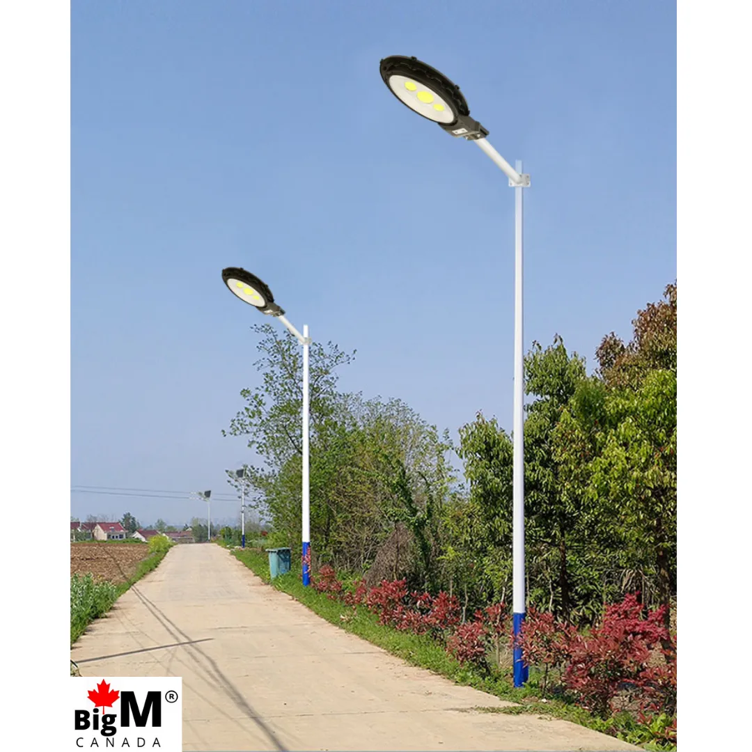 BigM Heavy Duty 500W Solar Flood Light With Motion Sensor for Outdoors