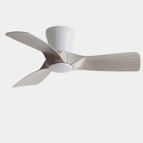 Carthy | Low Profile Ceiling Fan