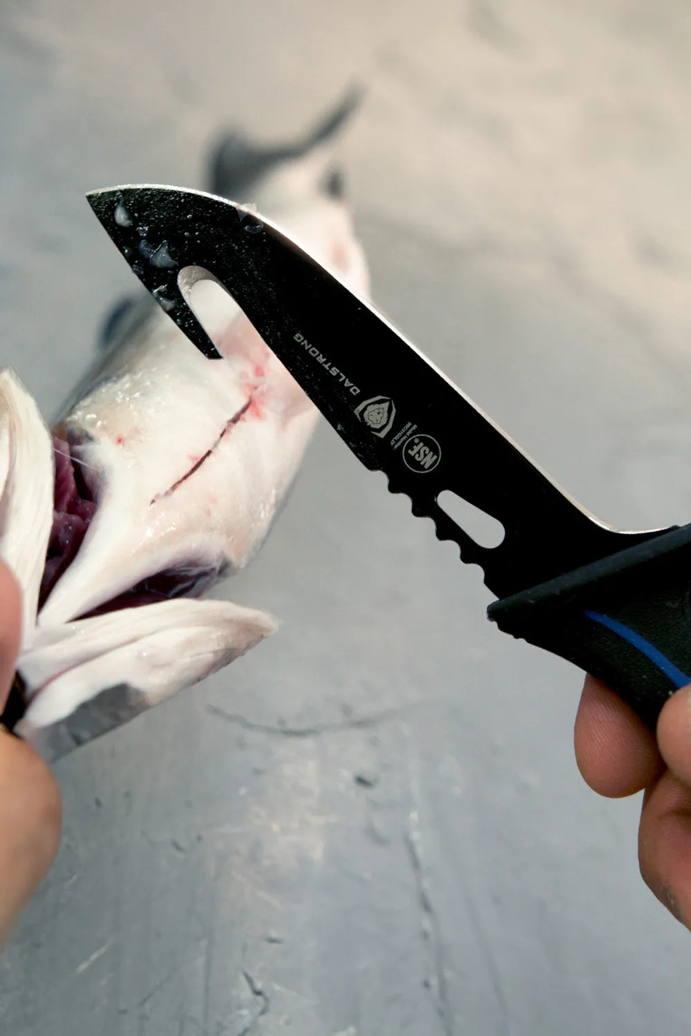 Hook Knife 5" | Night Shark Series | NSF Certified | Dalstrong ©