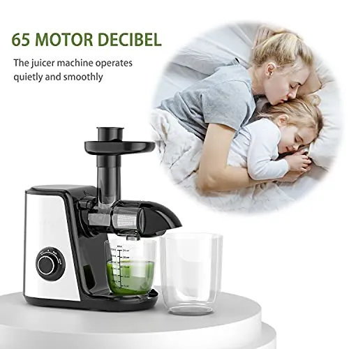 Juicer Machines, ORFELD Slow Masticating Juicer Extractor Easy to Clean, Quiet Motor and Reverse Function, Cold Press Juicer for Vegetable and Fruit Carrots, Oranges and Celery etc (Silver)