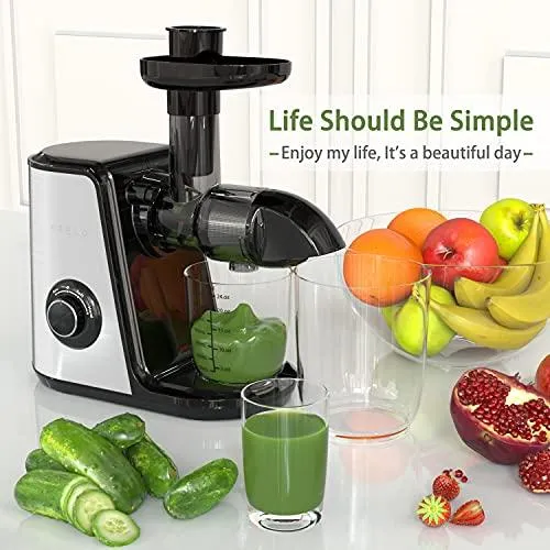 Juicer Machines, ORFELD Slow Masticating Juicer Extractor Easy to Clean, Quiet Motor and Reverse Function, Cold Press Juicer for Vegetable and Fruit Carrots, Oranges and Celery etc (Silver)