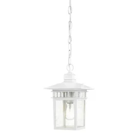 Nuvo Cove Neck 1-lt 7" Outdoor Hanging Lantern