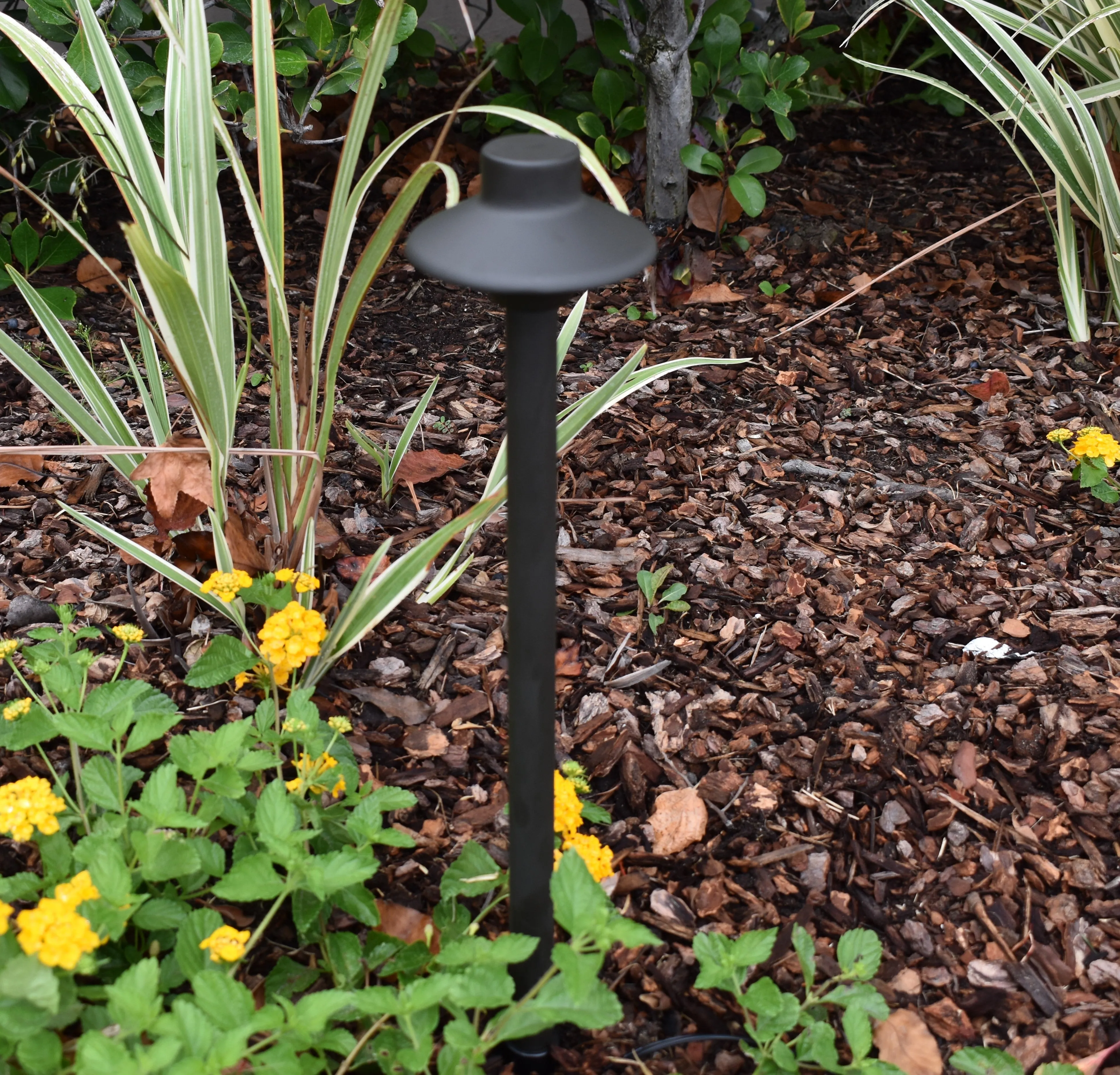 Pack IV - Solid Cast Brass Outdoor Landscape Path & Spot Lighting