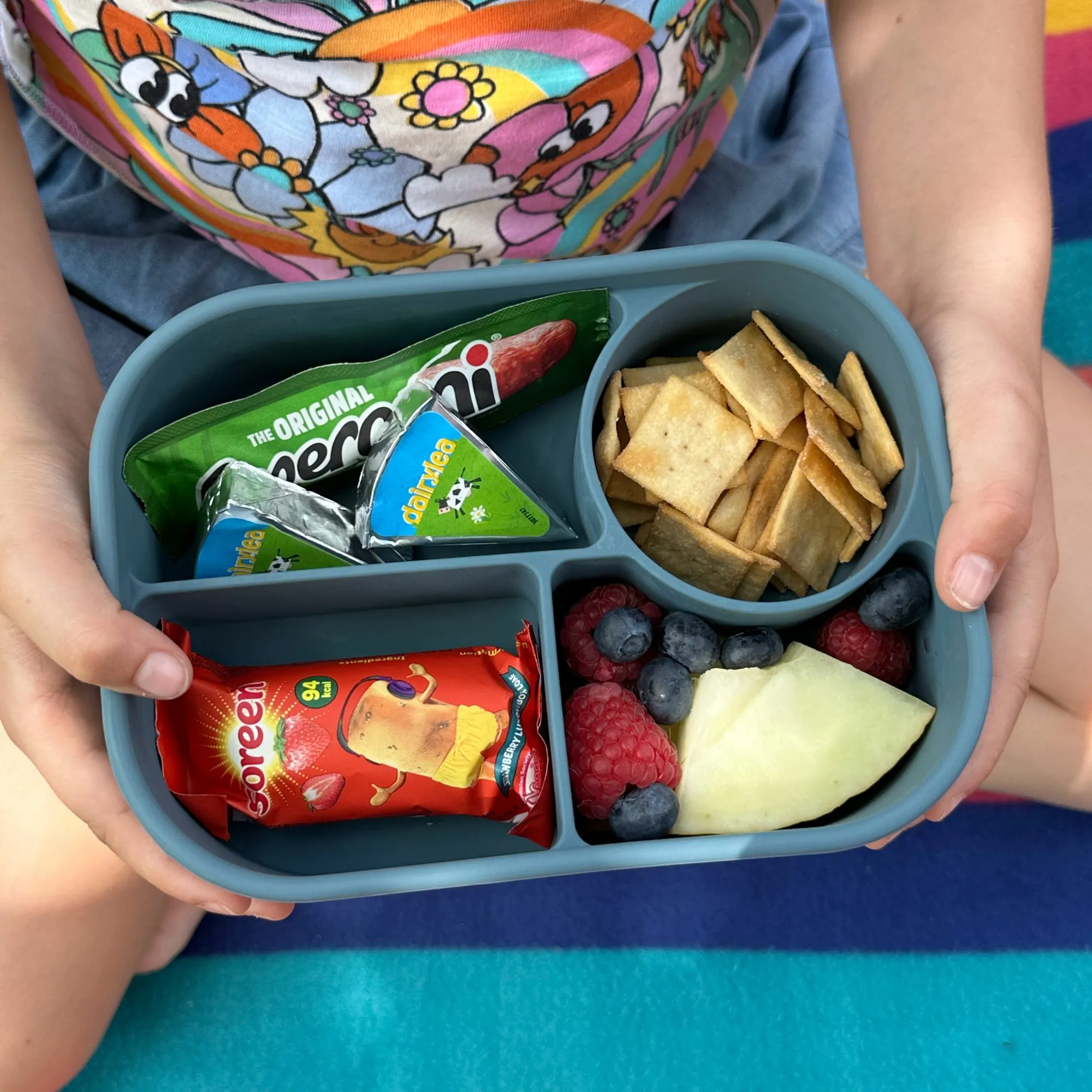 Pick Plates Silicone Bento Box - Blue