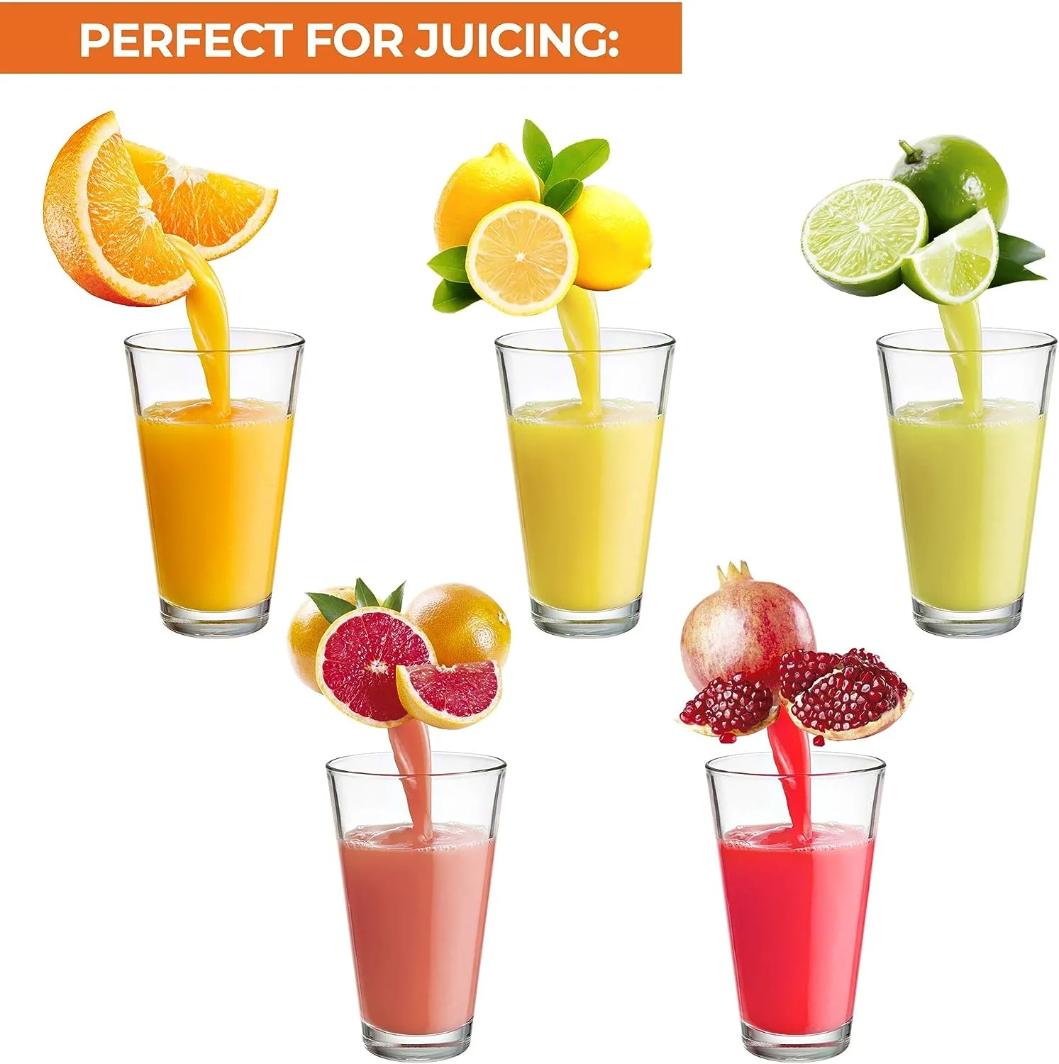 Professional Manual Citrus Press - Extra Tall Citrus Juicer