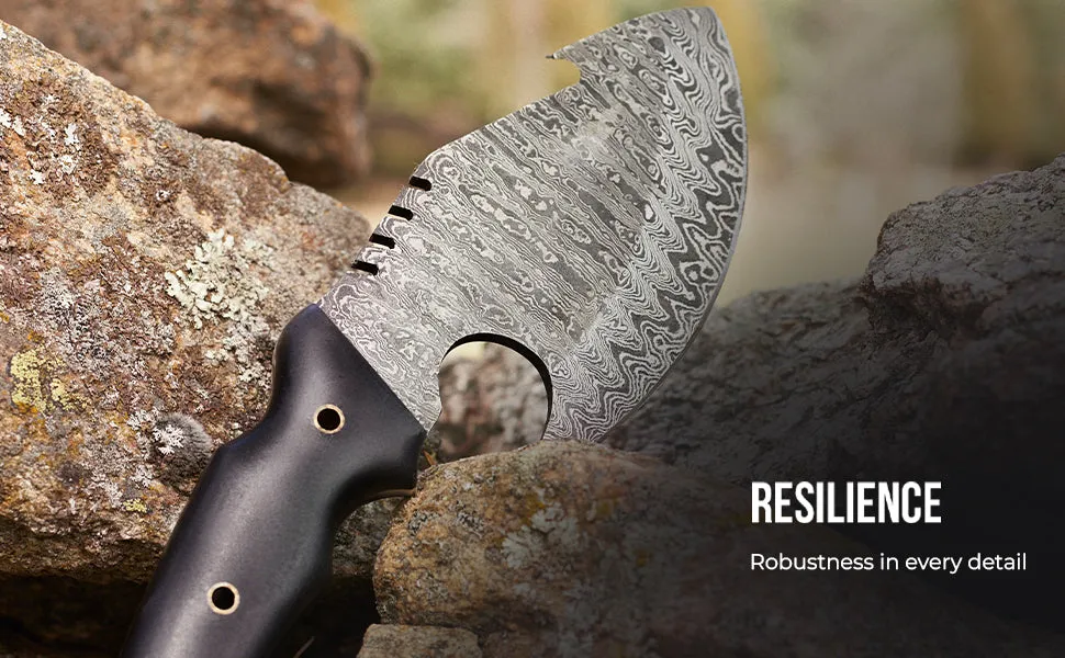 Raptor Damascus Hunting Knife