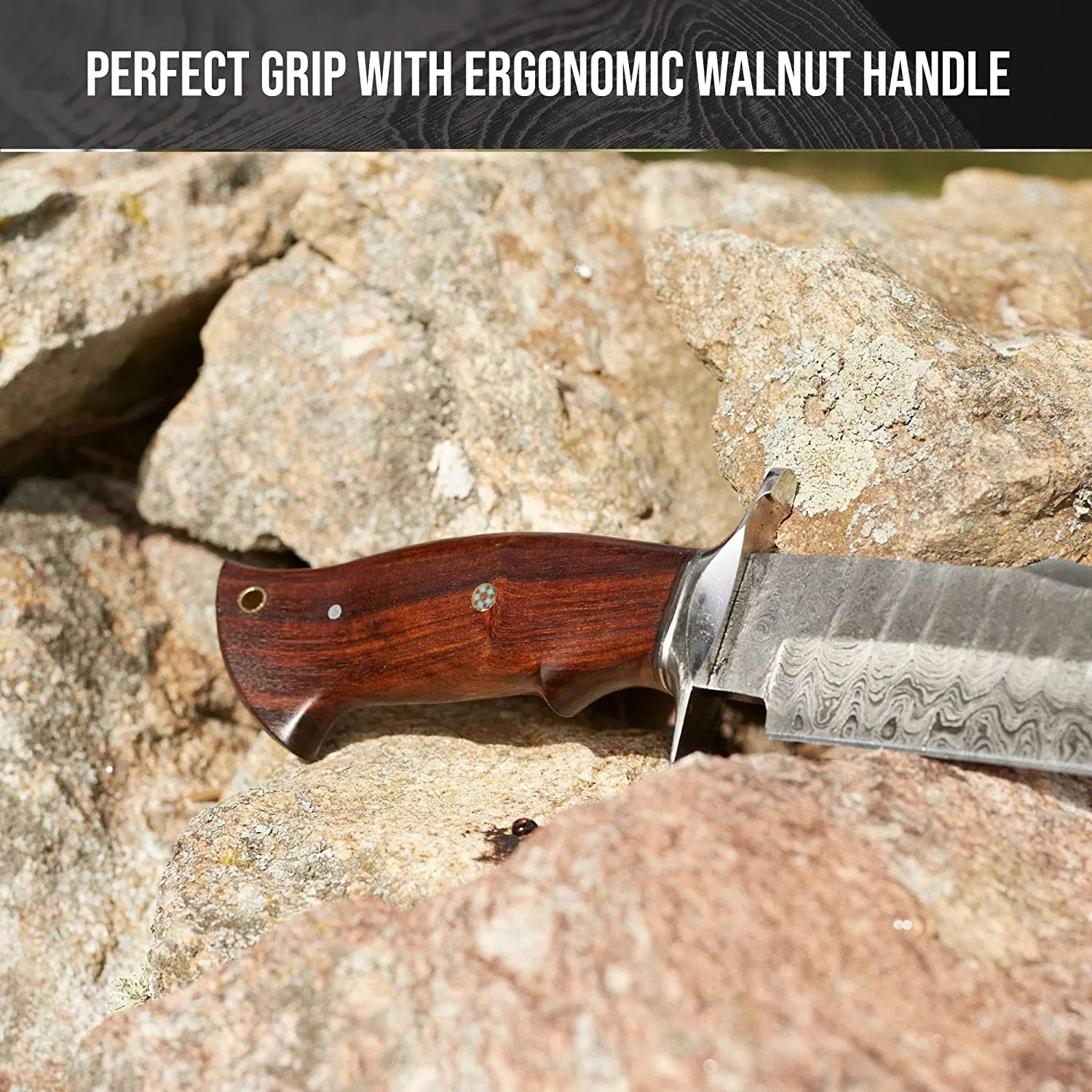 Raptor Damascus Hunting Knife