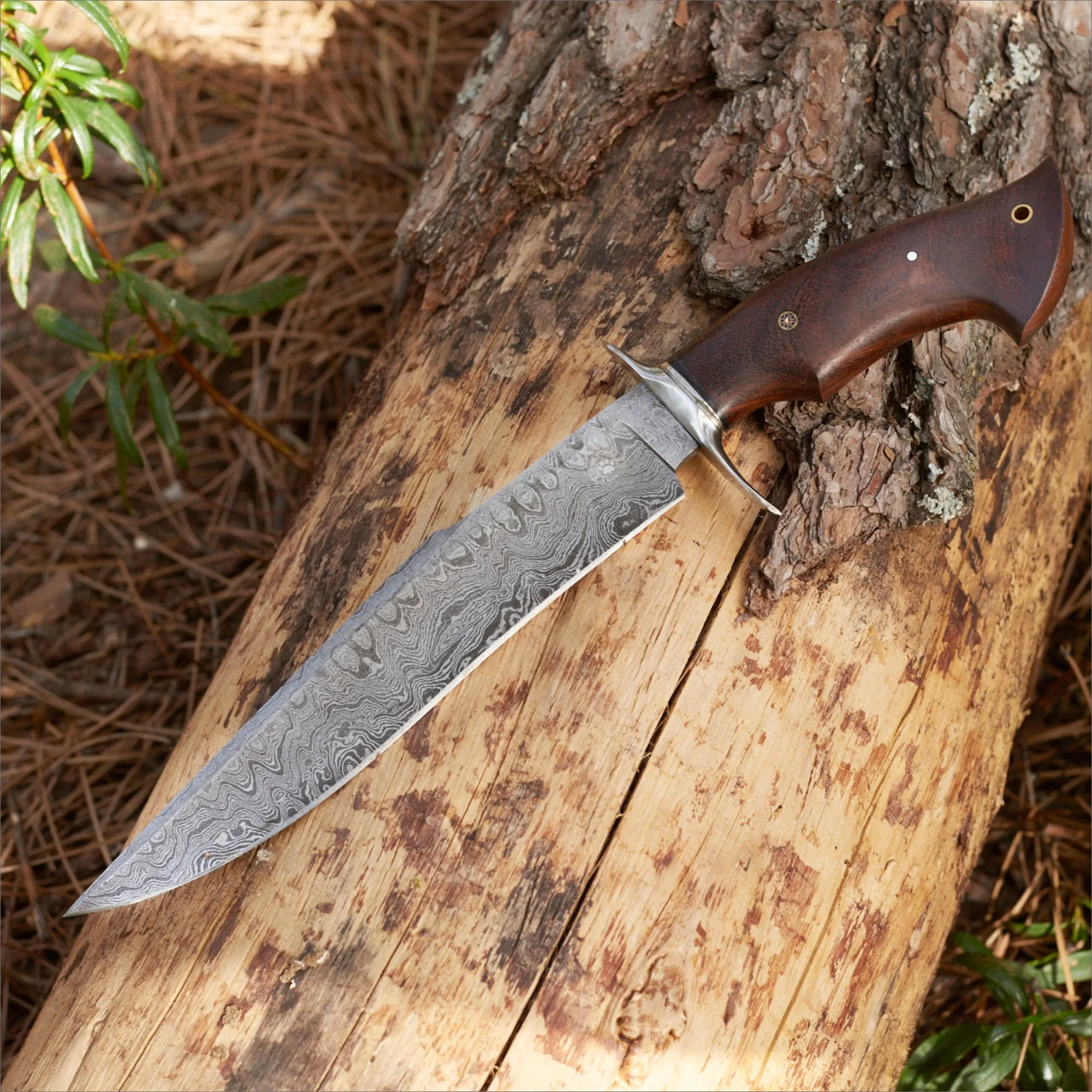 Raptor Damascus Hunting Knife