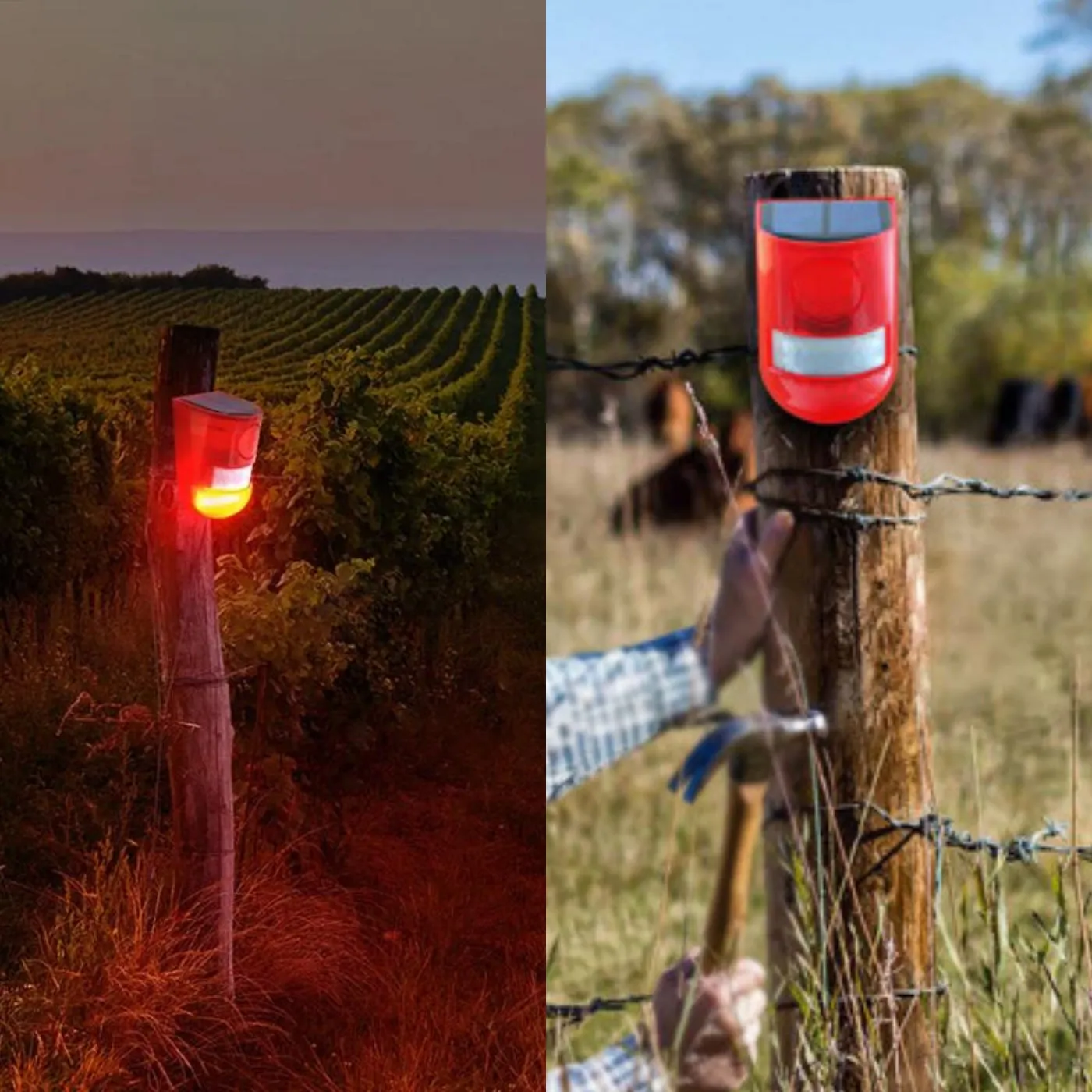 Solar Sound Alarm Motion-Activated Raccoon Repeller