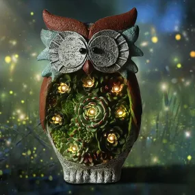 Starry Owl with Solar Led Lights