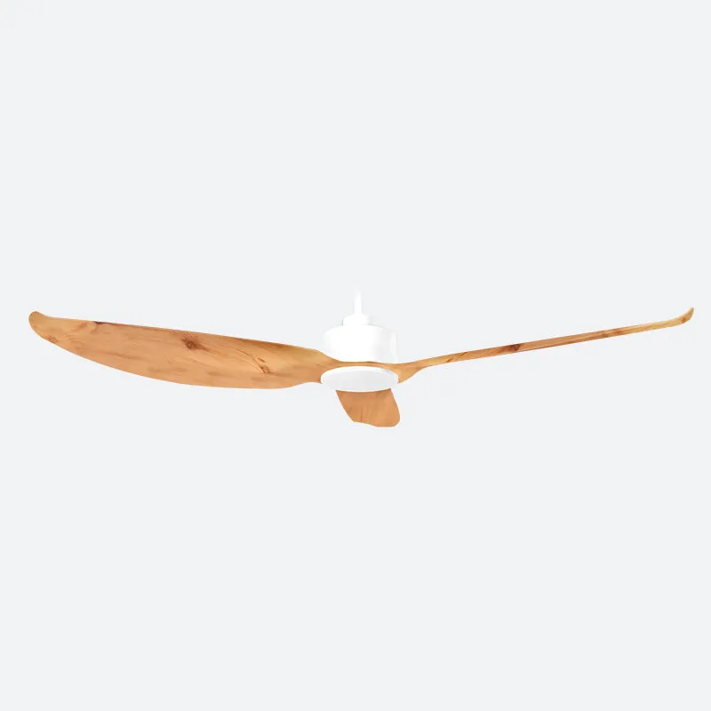 WVVE Scandinavian Decor Fans (NLO)